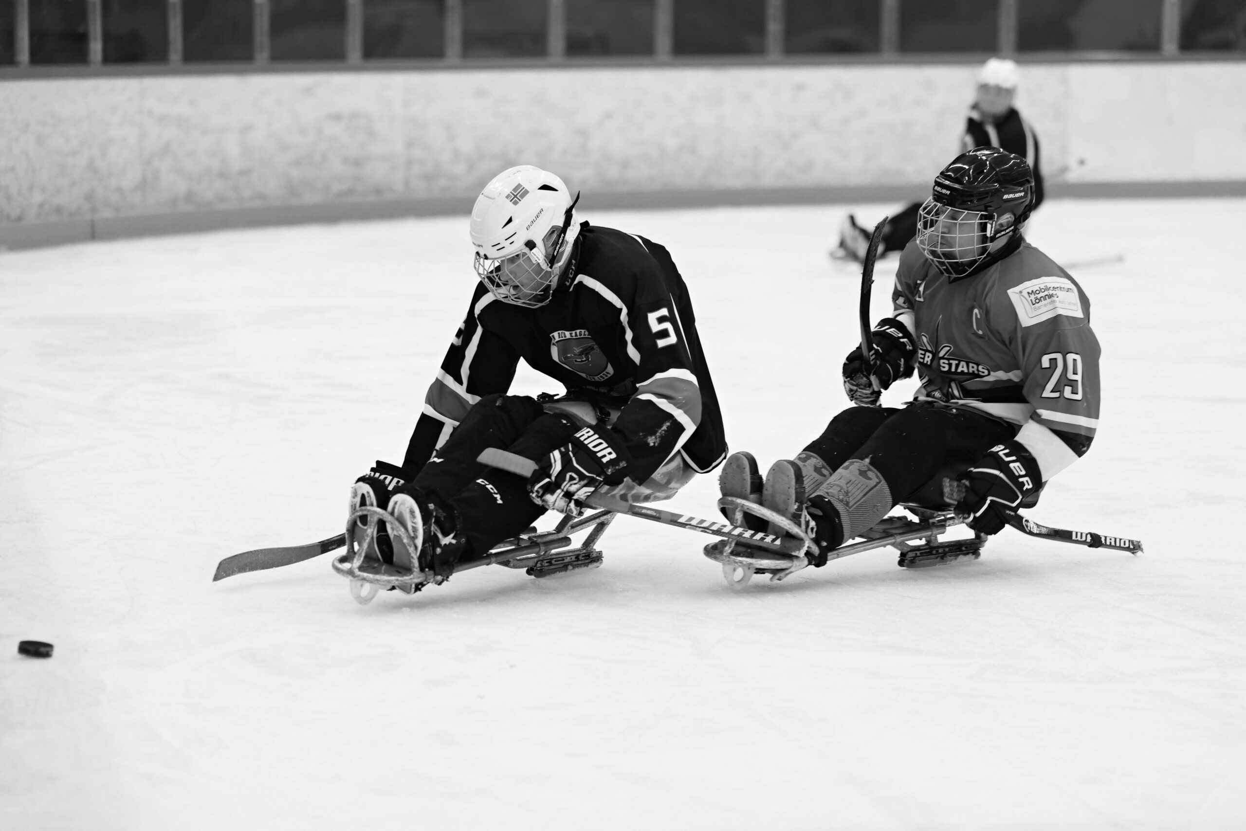Para ice hockey players